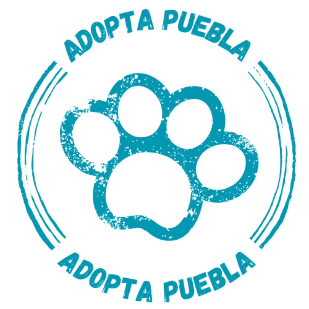 Foto de Adopta Puebla